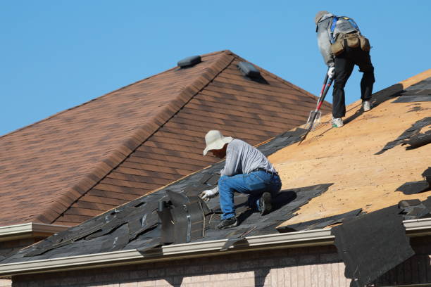 Best Steel Roofing  in Corinth, MS